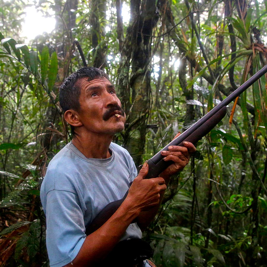 Documental de Amazonie